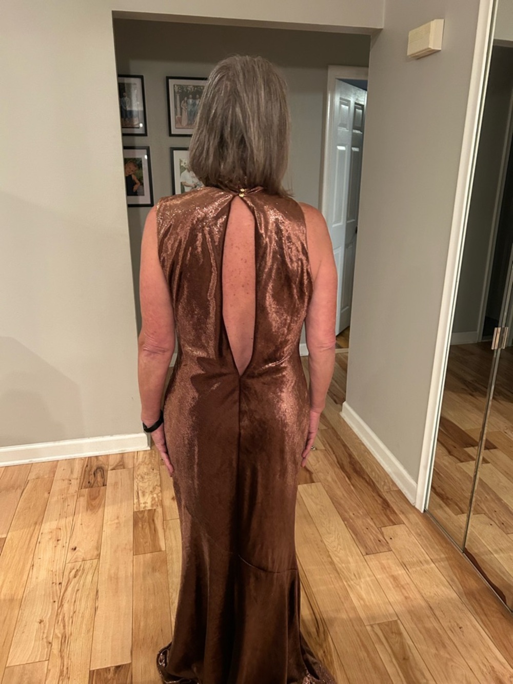 Donna Karan Brown Backless Velvet Evening Gown